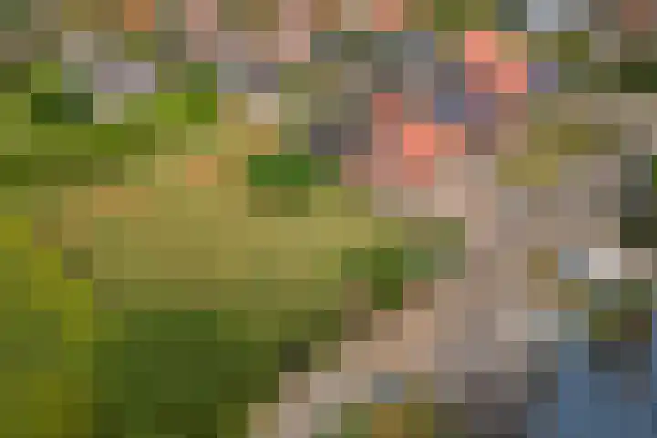 Dijkstraat 6 Ophemert thumbnail 40