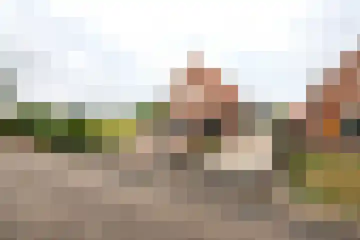 Dijkstraat 6 Ophemert thumbnail 5
