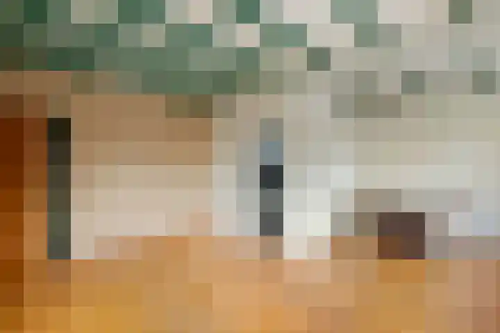 Dijkstraat 6 Ophemert thumbnail 7