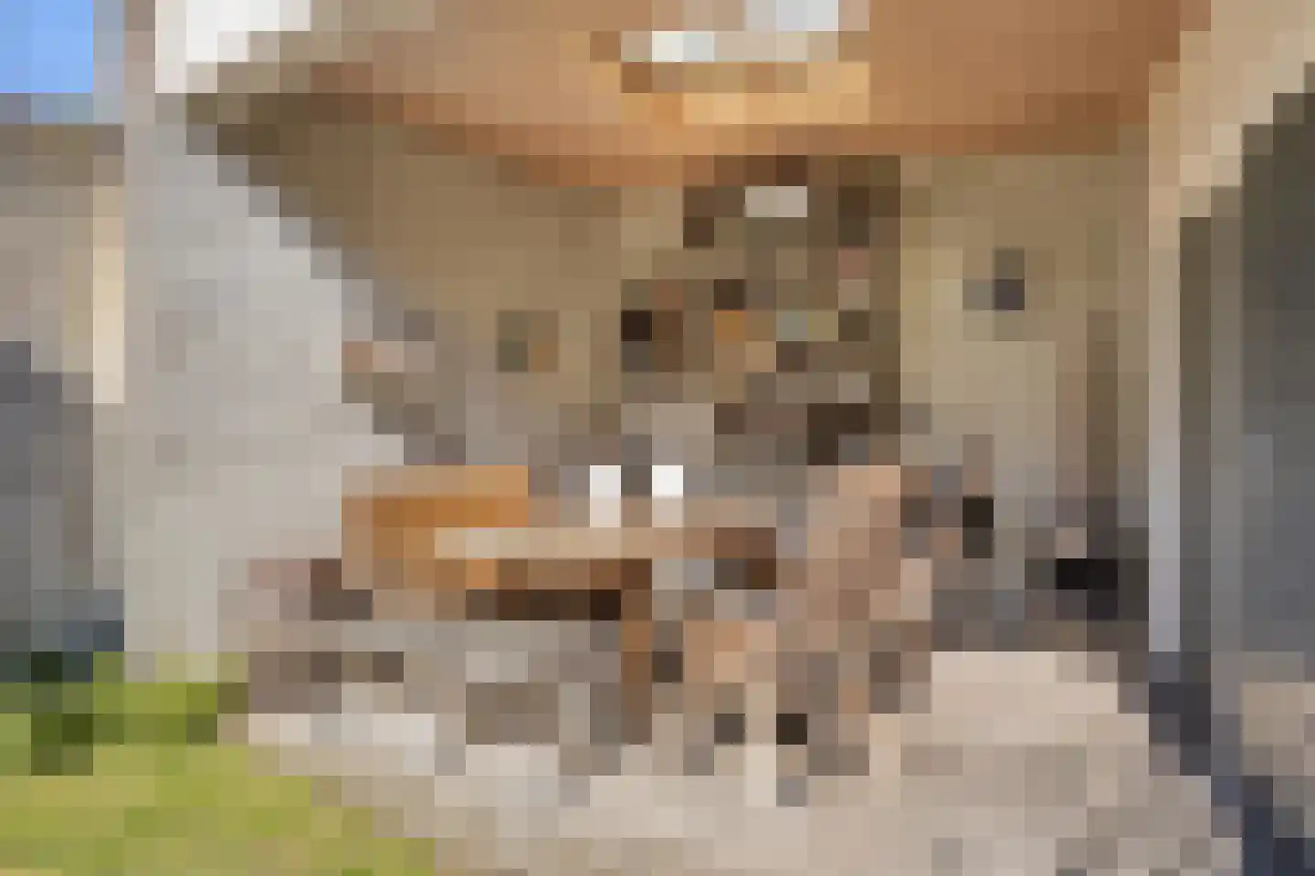 Dijkstraat 68 Valkenswaard thumbnail 35