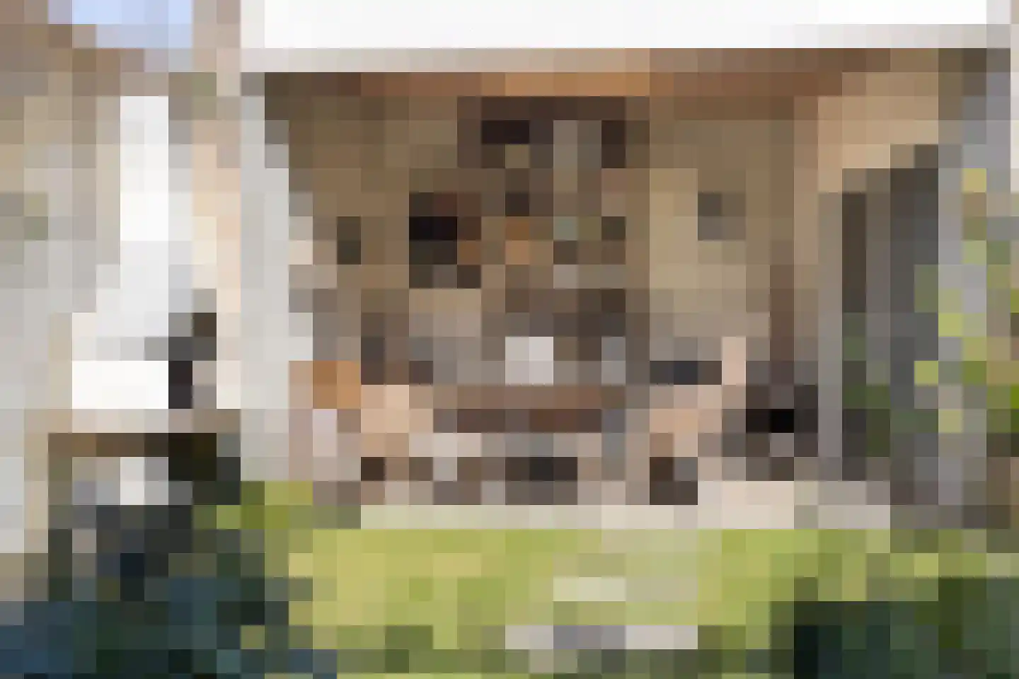 Dijkstraat 68 Valkenswaard thumbnail 36