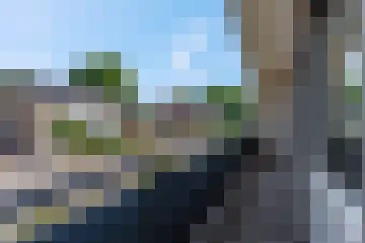 Dijkstraat 69 Bemmel thumbnail 25