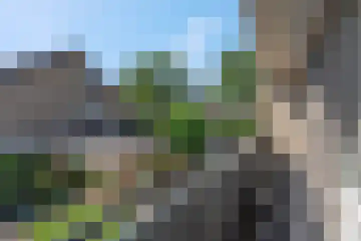 Dijkstraat 69 Bemmel thumbnail 30