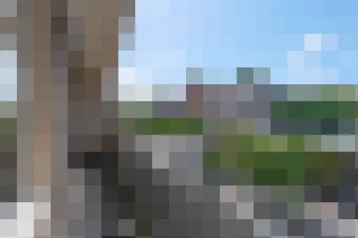 Dijkstraat 69 Bemmel thumbnail 31