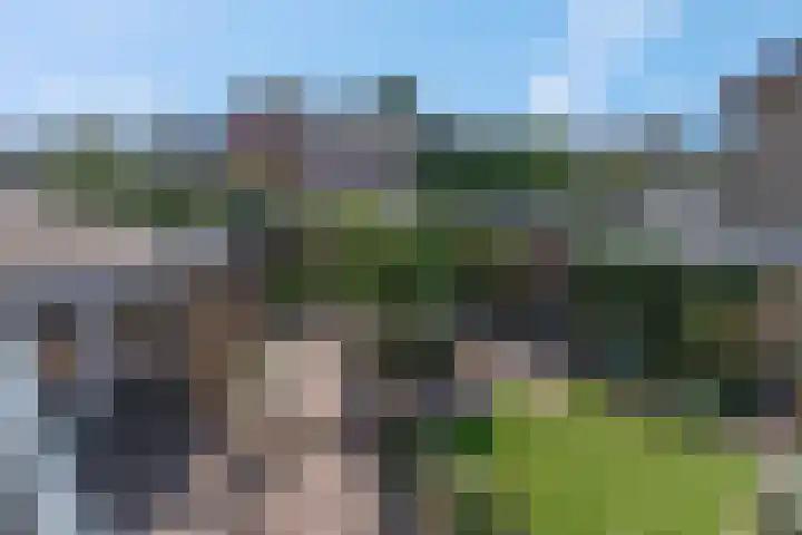 Dijkstraat 69 Bemmel thumbnail 32