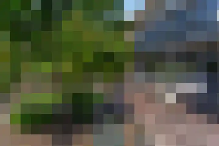 Dijkstraat 69 Bemmel thumbnail 46