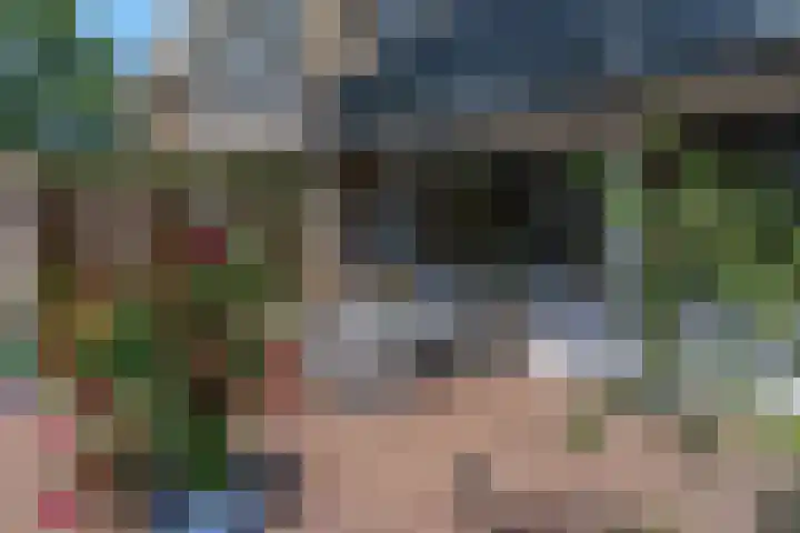 Dijkstraat 69 Bemmel thumbnail 47