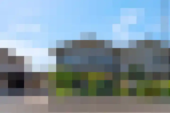 Dijkstraat 69 Bemmel thumbnail 6