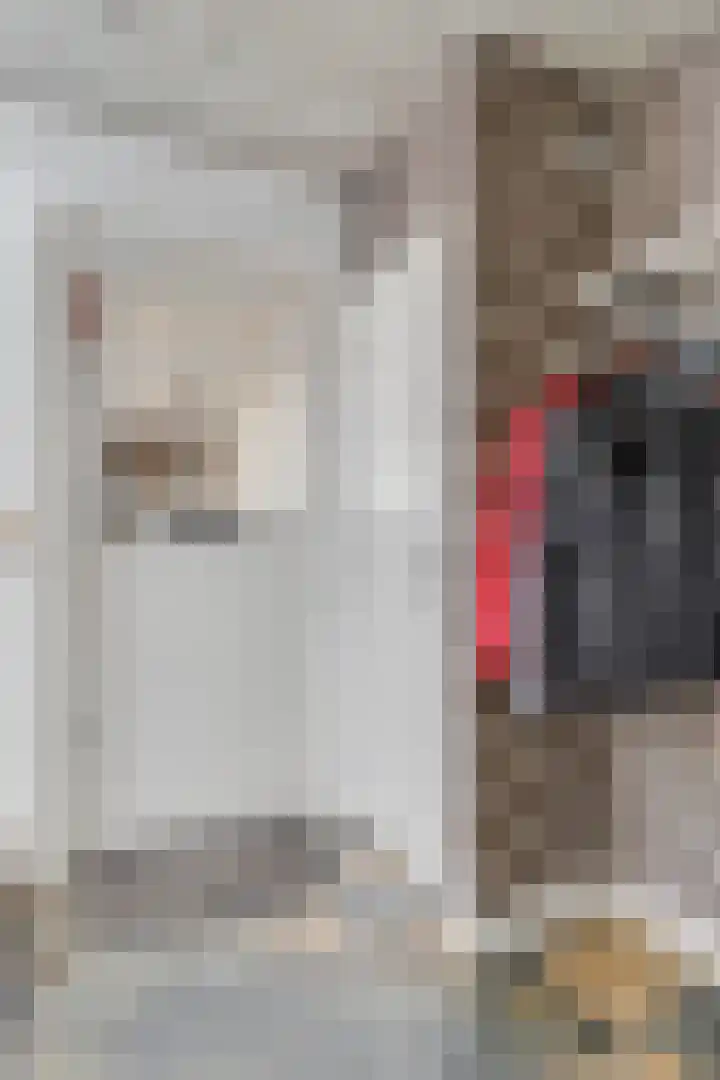 Dijkstraat 69 Bemmel thumbnail 8