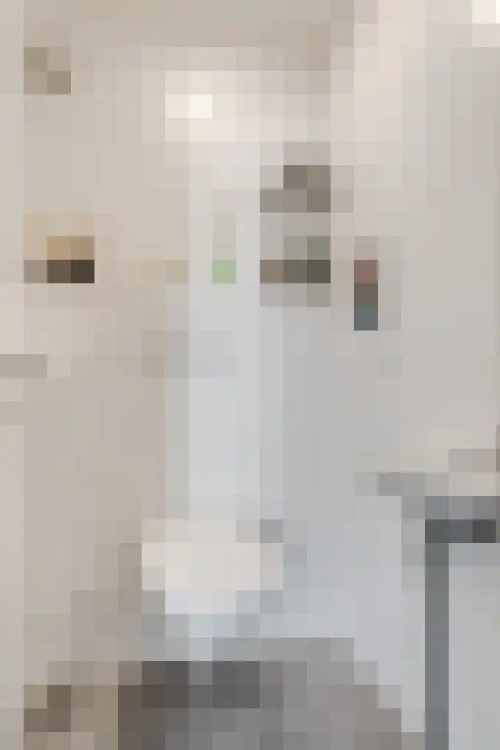 Dijkstraat 69 Bemmel thumbnail 9