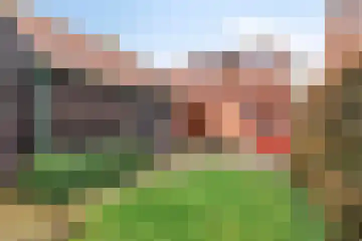 Dijkstraat 69 Kats thumbnail 14