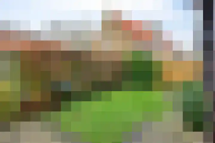 Dijkstraat 69 Kats thumbnail 15