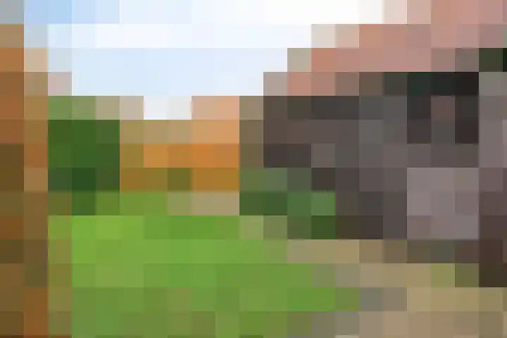 Dijkstraat 69 Kats thumbnail 16