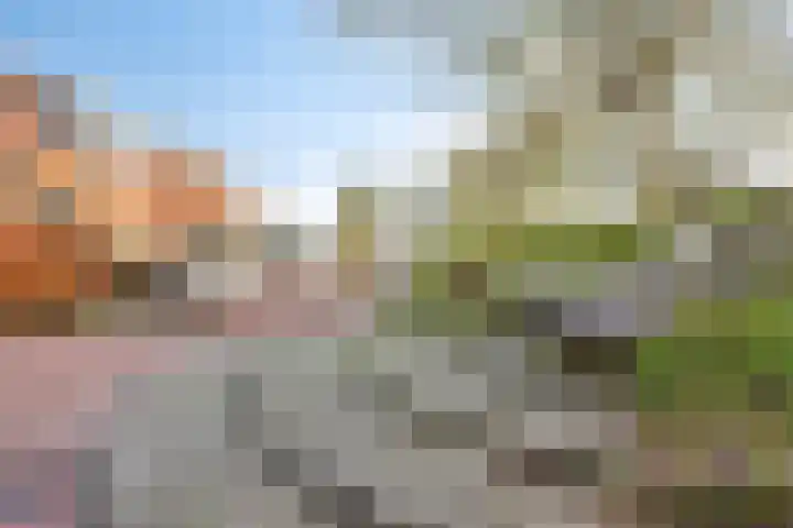 Dijkstraat 69 Kats thumbnail 19