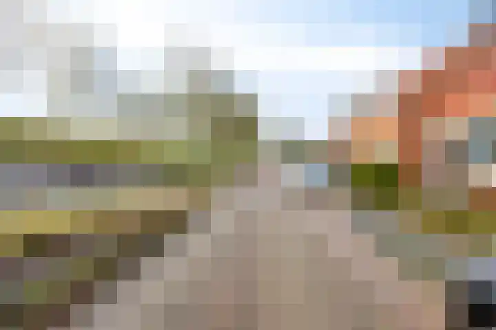 Dijkstraat 69 Kats thumbnail 20