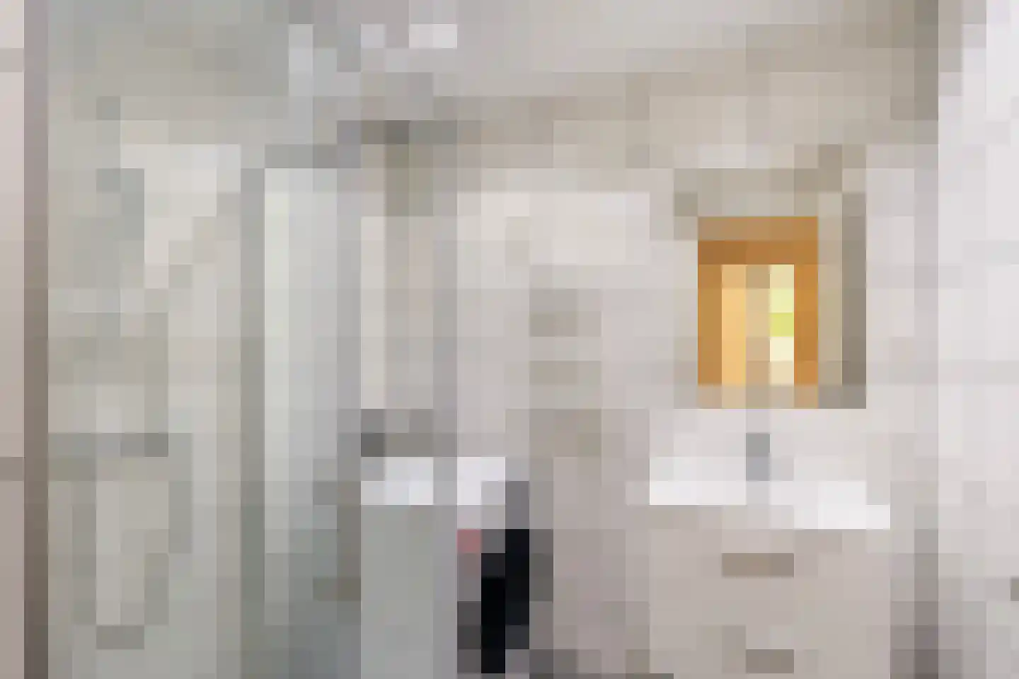 Dijkstraat 7 B Rotterdam thumbnail 5
