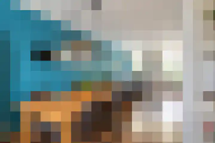 Dijkstraat 7 Bruinisse thumbnail 15