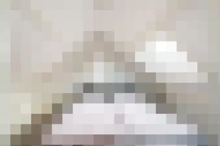 Dijkstraat 7 Bruinisse thumbnail 25