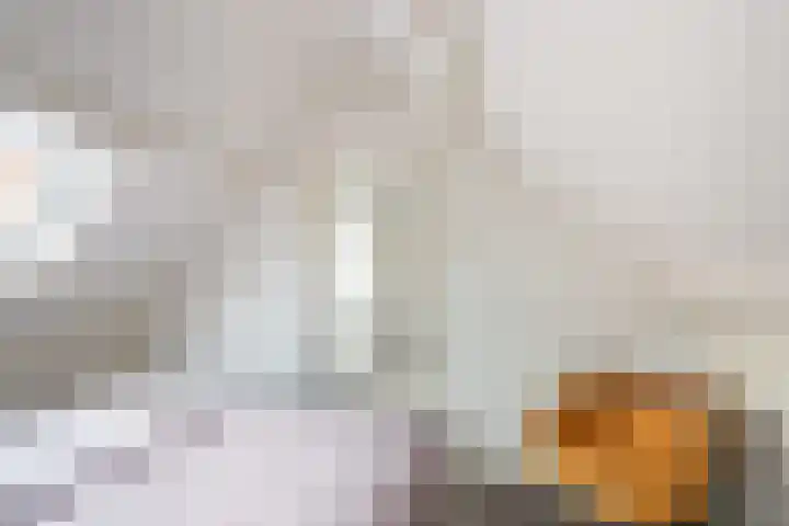 Dijkstraat 7 Bruinisse thumbnail 26