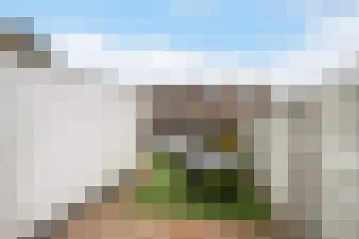 Dijkstraat 7 Bruinisse thumbnail 28