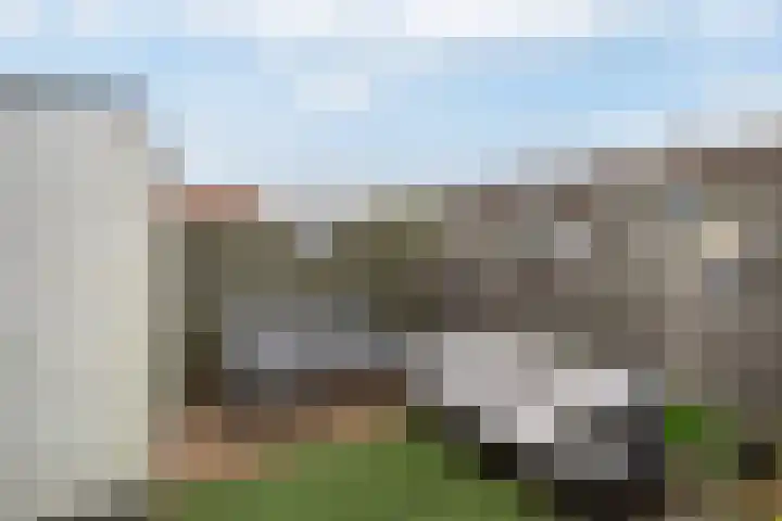 Dijkstraat 7 Bruinisse thumbnail 30