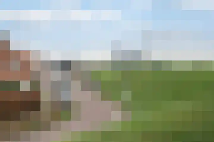 Dijkstraat 7 Bruinisse thumbnail 32