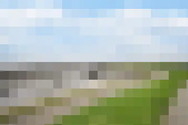 Dijkstraat 7 Bruinisse thumbnail 33