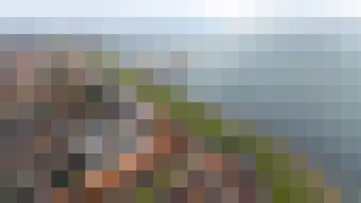 Dijkstraat 7 Bruinisse thumbnail 35