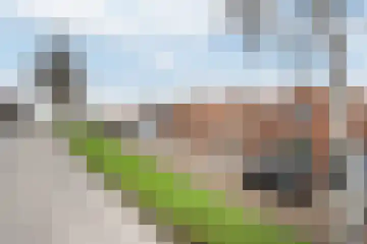 Dijkstraat 7 Bruinisse thumbnail 6