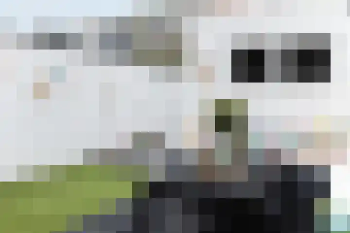 Dijkstraat 7 Den Oever thumbnail 22