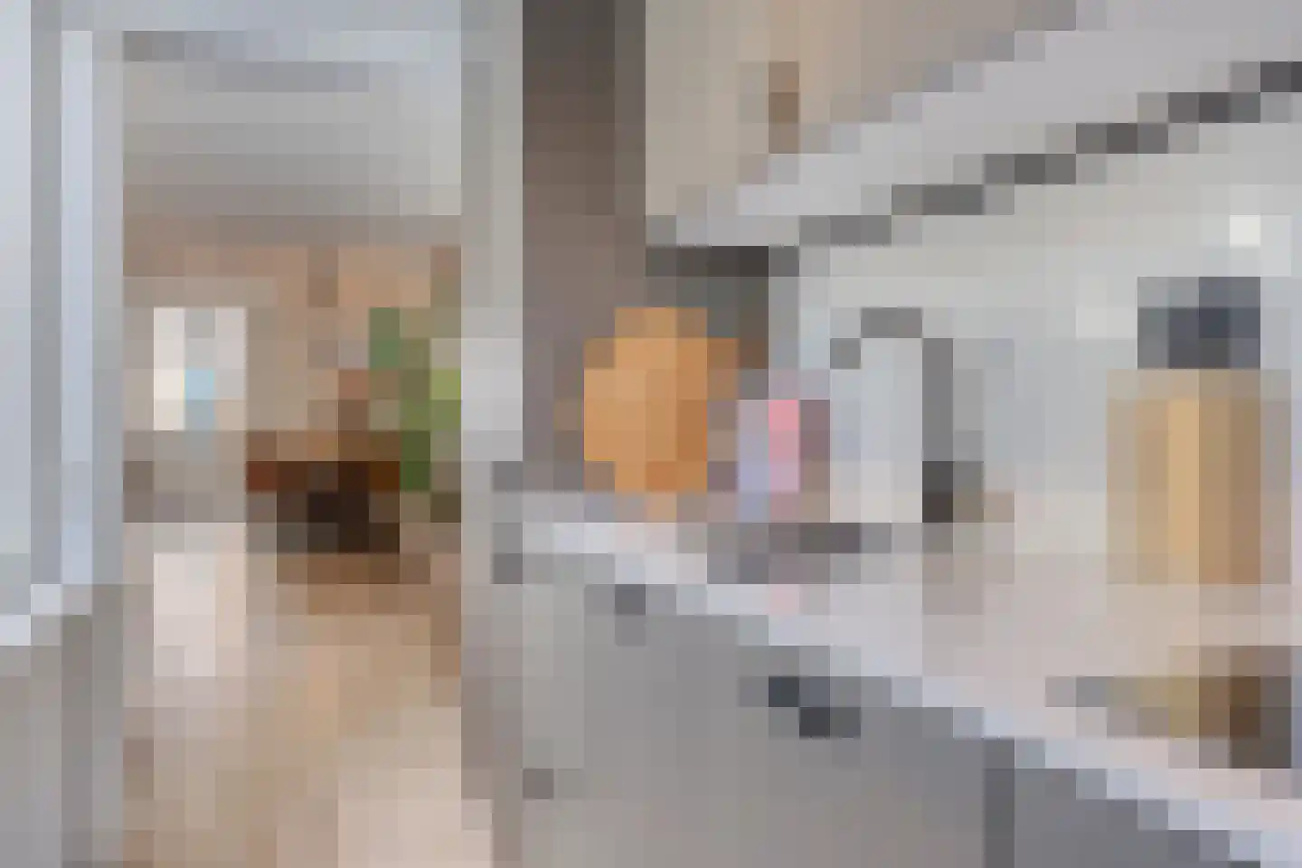 Dijkstraat 7 Kampen thumbnail 17