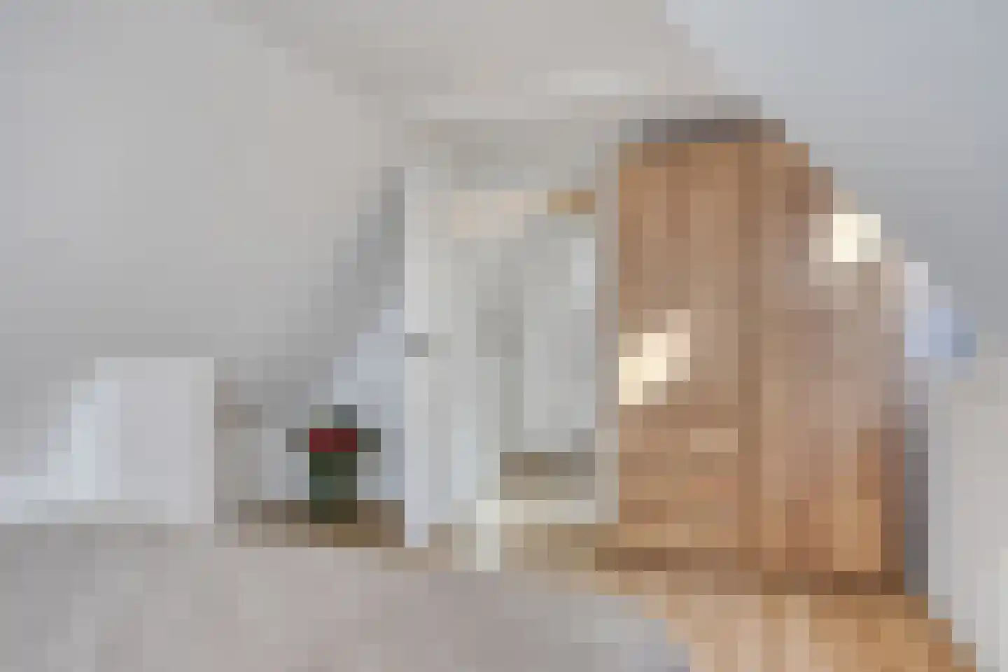 Dijkstraat 7 Kampen thumbnail 24