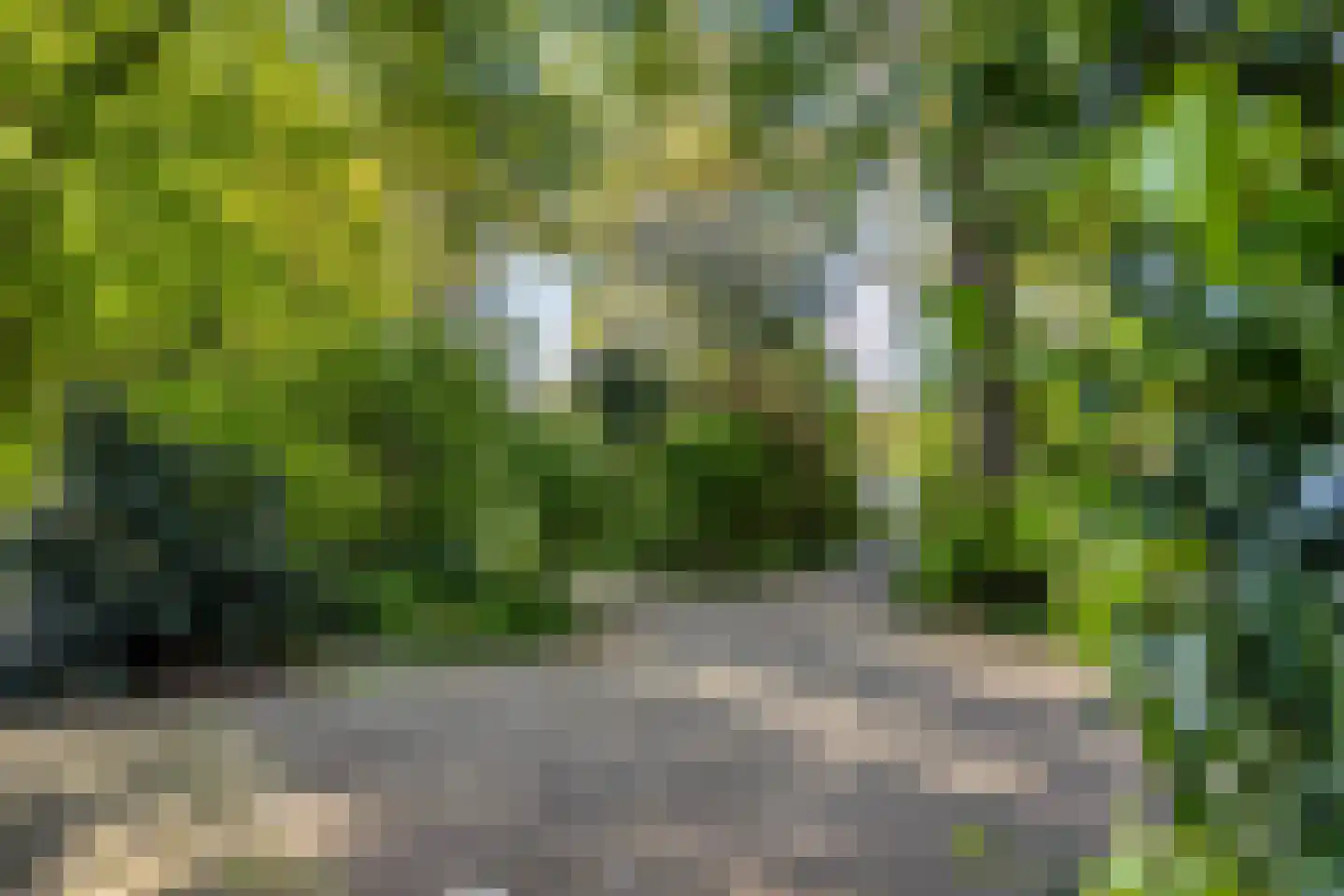 Dijkstraat 7 Kampen thumbnail 30