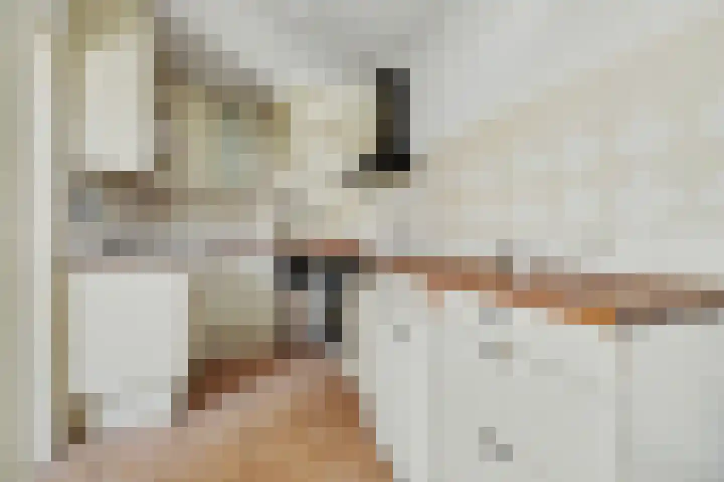 Dijkstraat 7 Kats thumbnail 10