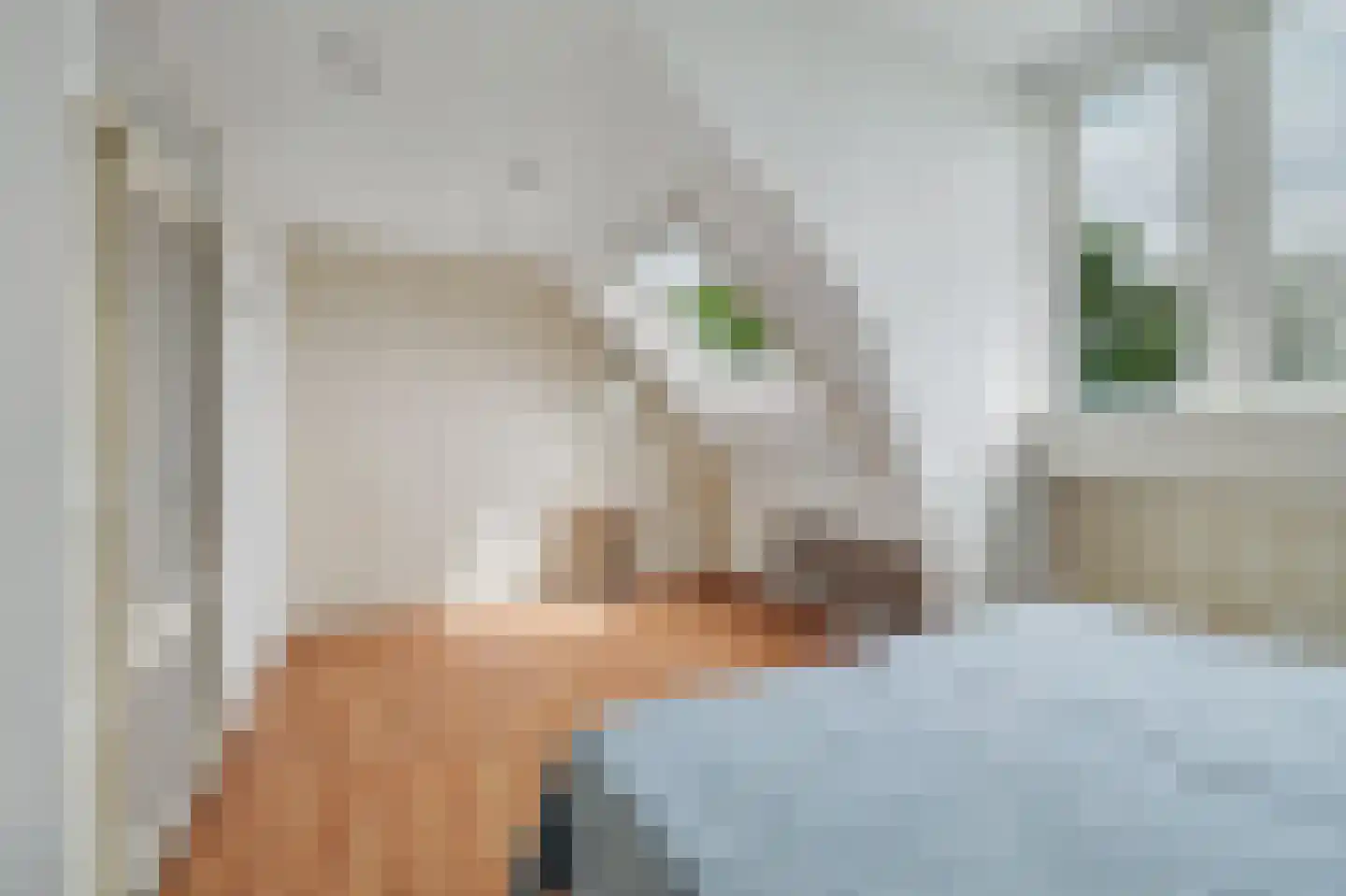 Dijkstraat 7 Kats thumbnail 16