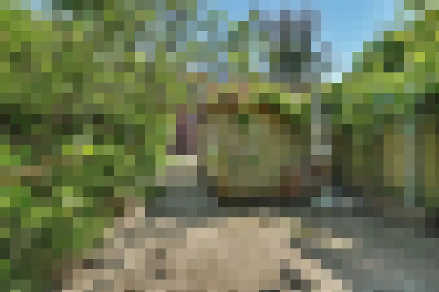 Dijkstraat 7 Kats thumbnail 26