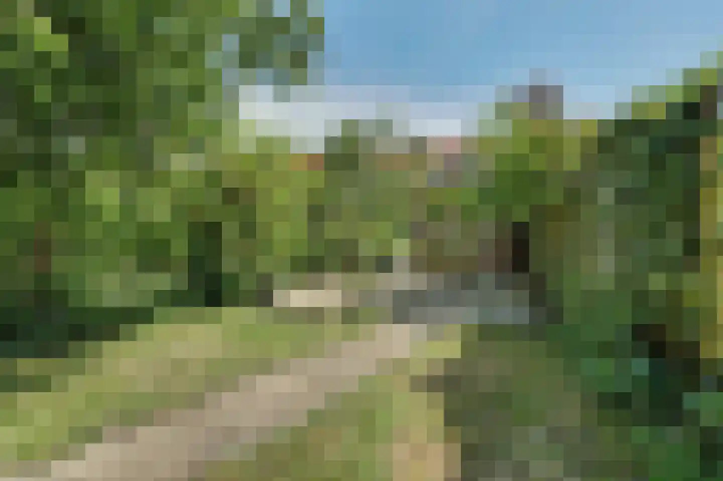 Dijkstraat 7 Kats thumbnail 27
