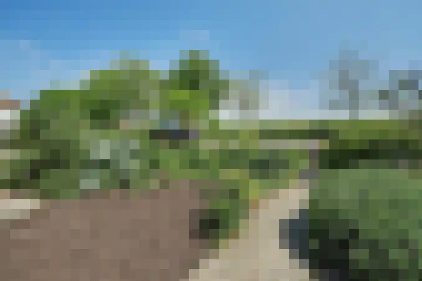 Dijkstraat 7 Kats thumbnail 41