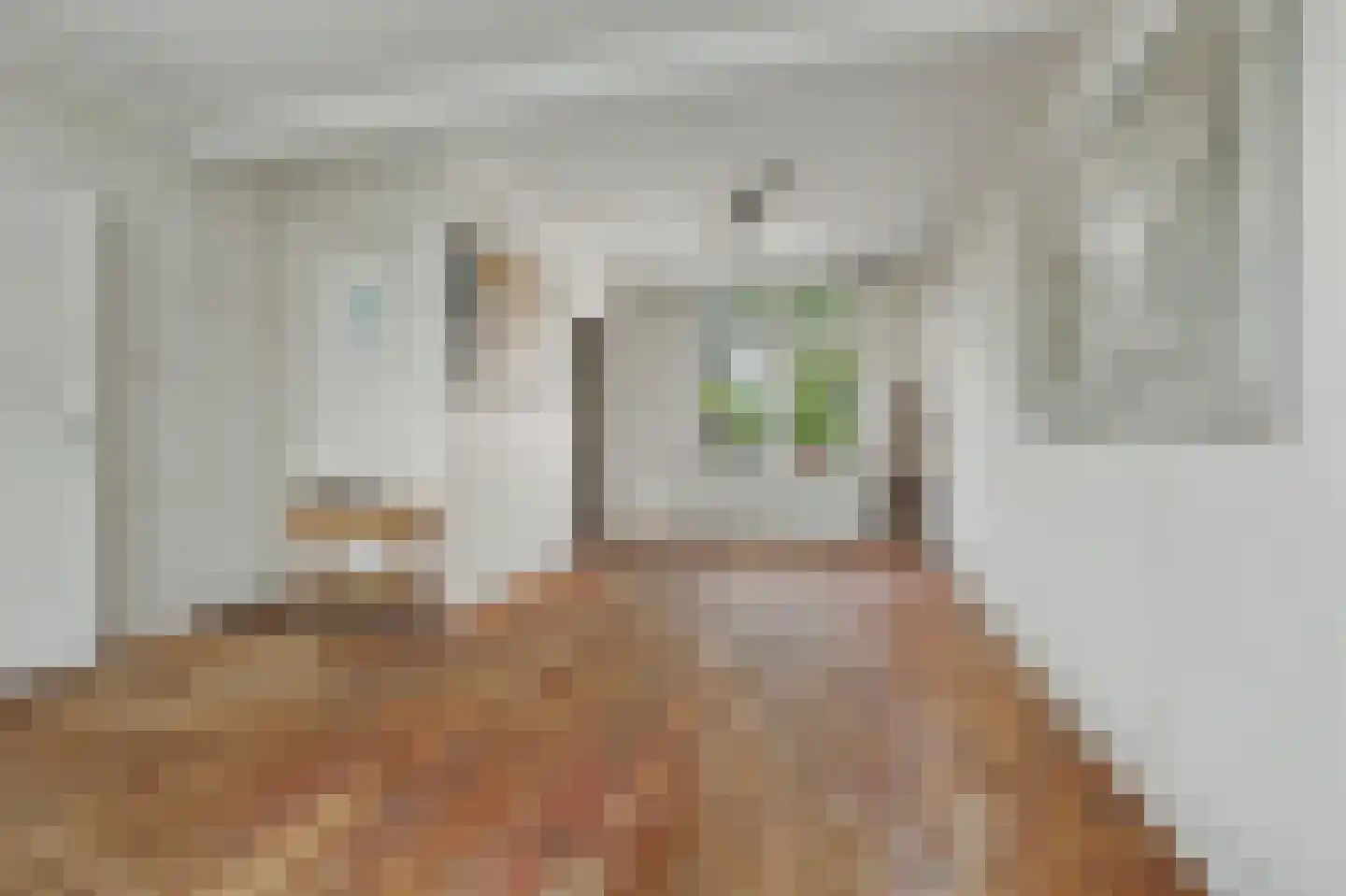 Dijkstraat 7 Kats thumbnail 5