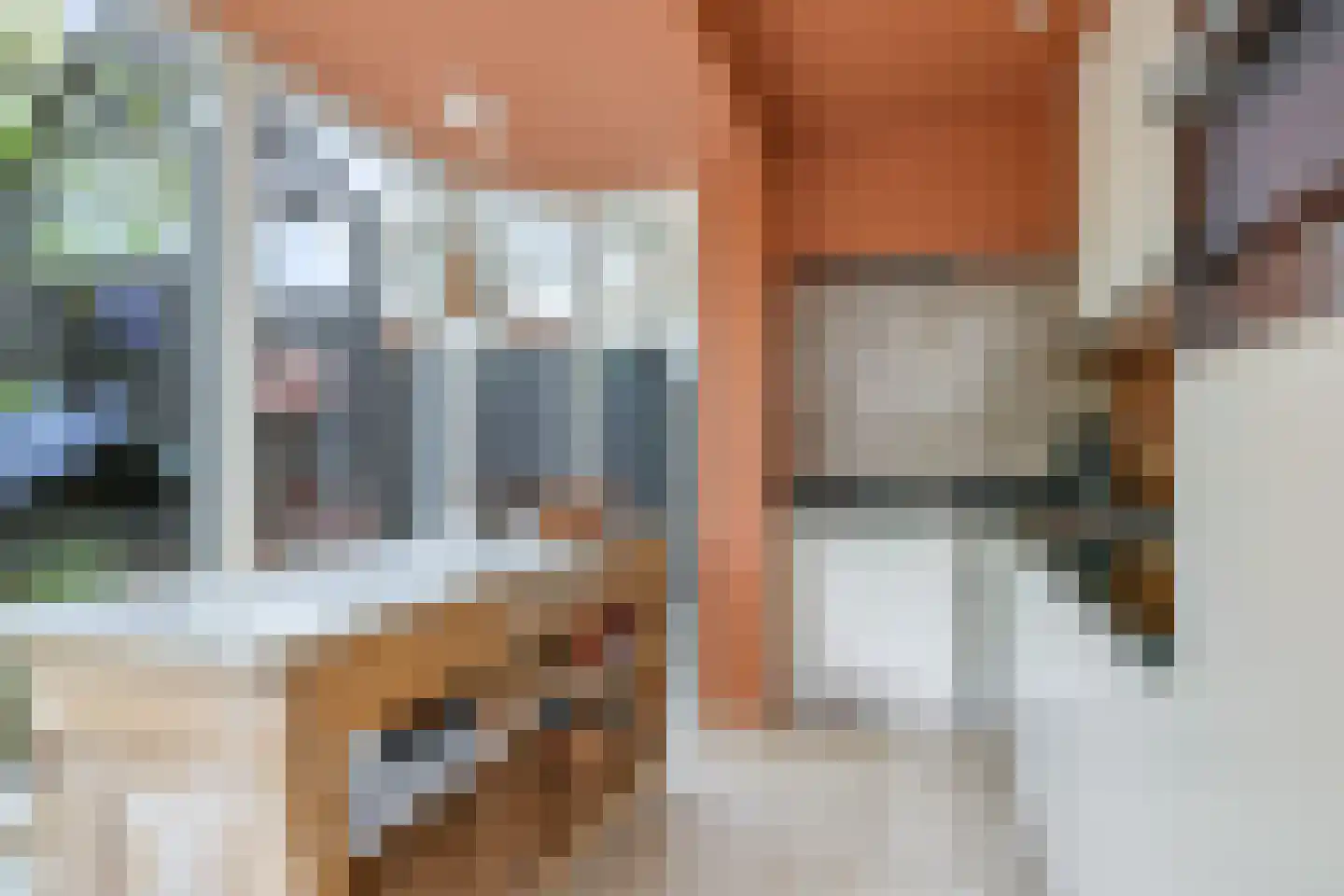 Dijkstraat 71 Bemmel thumbnail 4