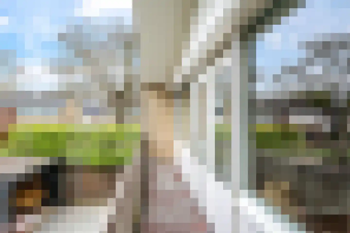 Dijkstraat 71 Bemmel thumbnail 44