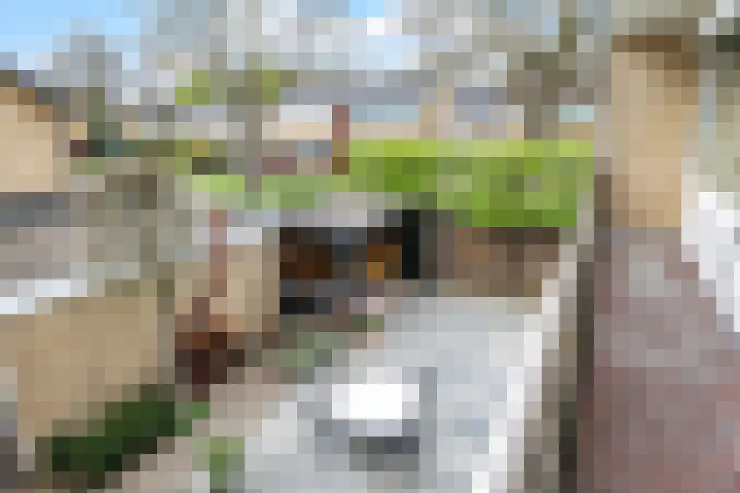 Dijkstraat 71 Bemmel thumbnail 45
