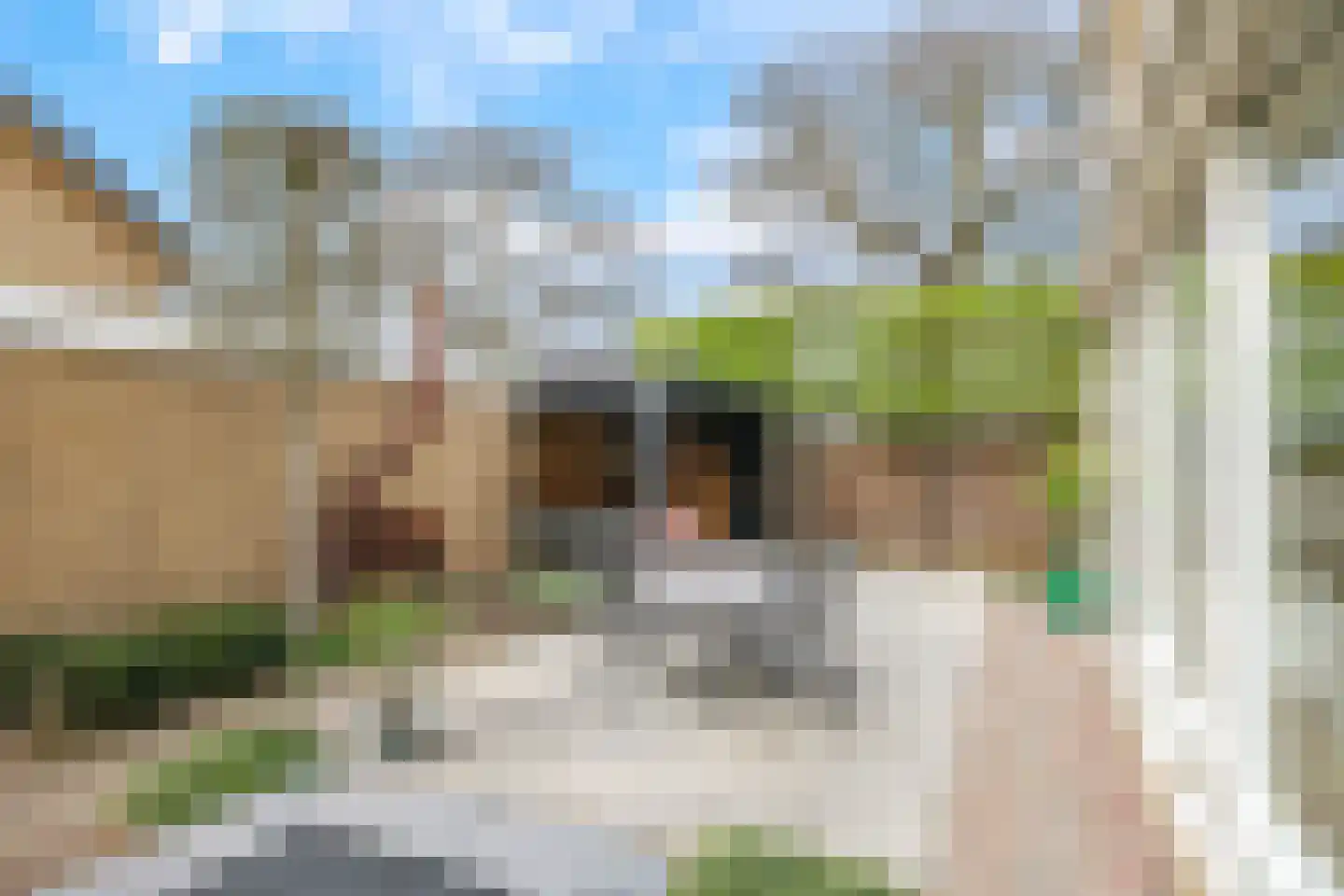 Dijkstraat 71 Bemmel thumbnail 56