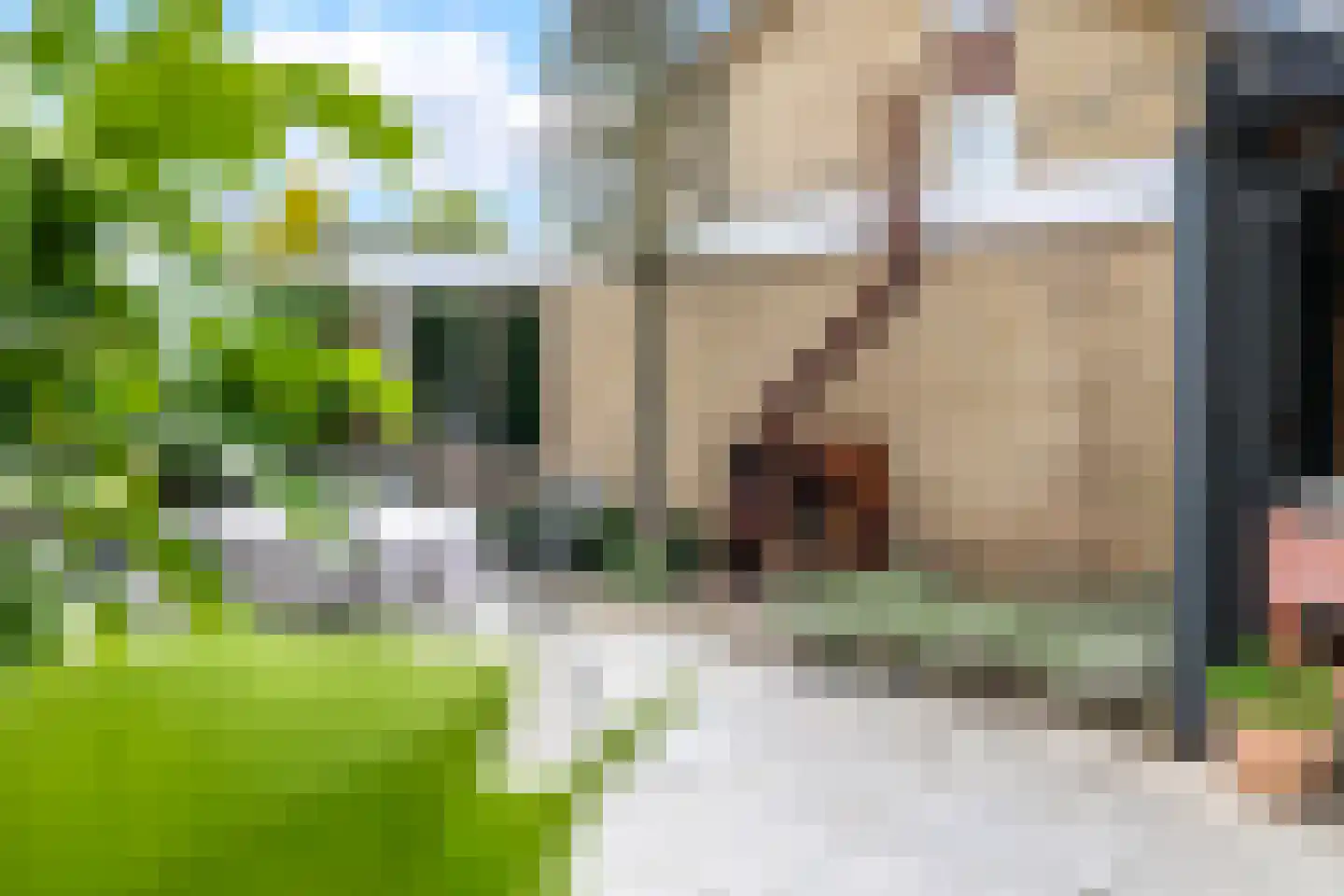 Dijkstraat 71 Bemmel thumbnail 57