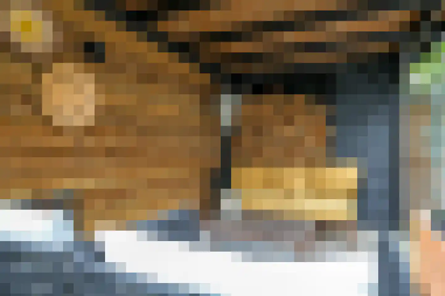 Dijkstraat 71 Bemmel thumbnail 65