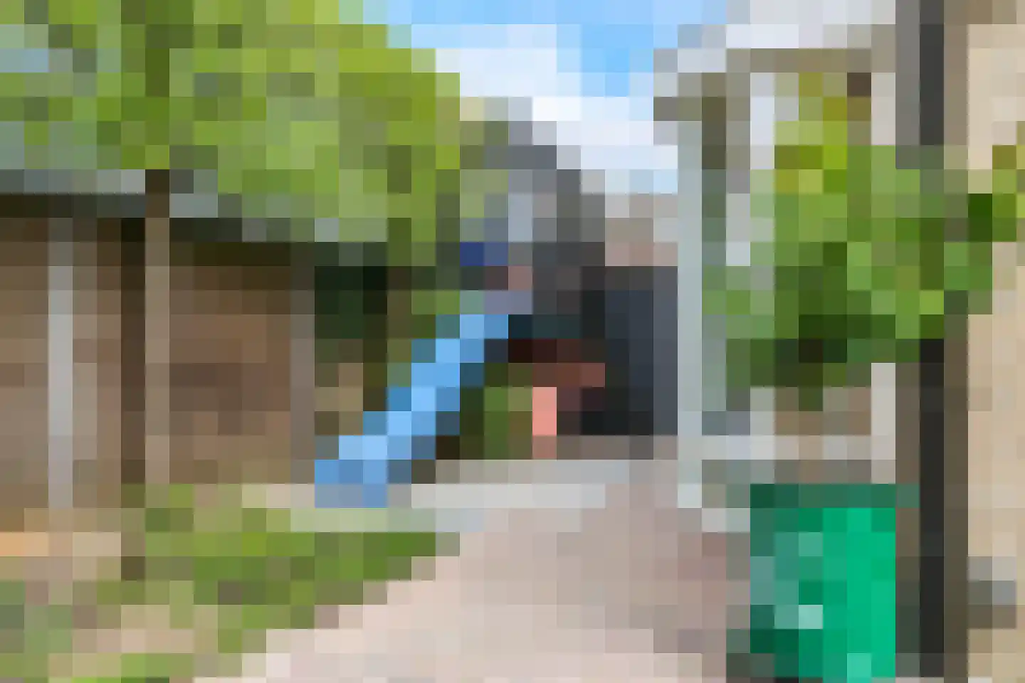 Dijkstraat 71 Bemmel thumbnail 68