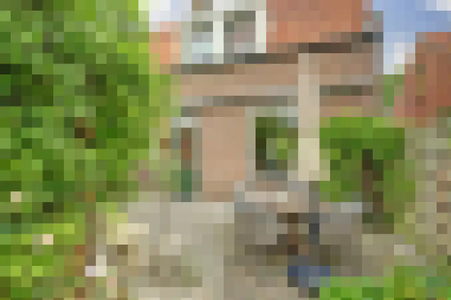 Dijkstraat 73 Kats thumbnail 4