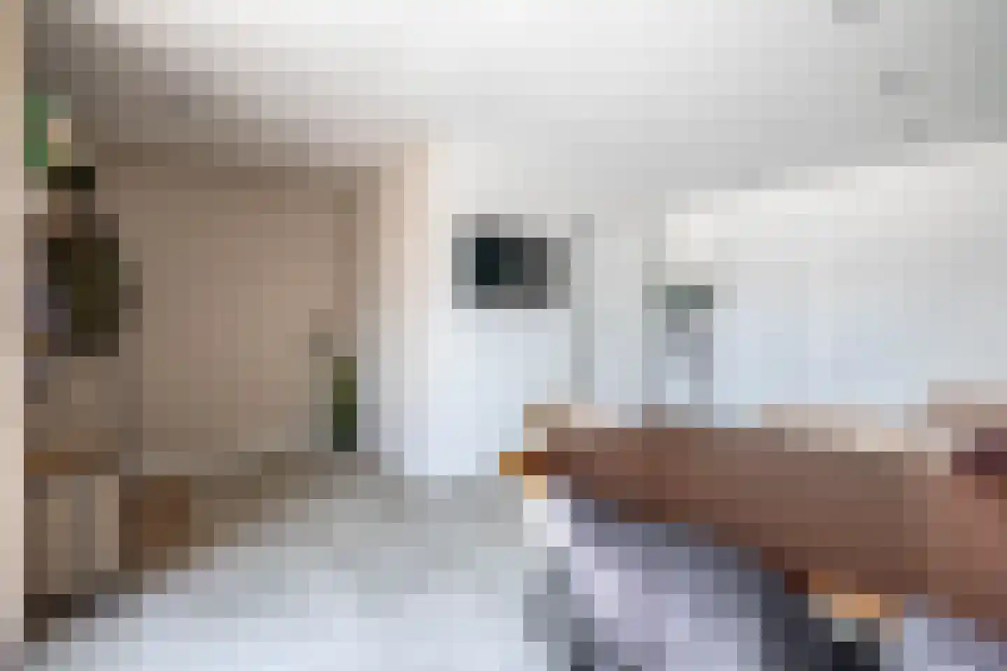 Dijkstraat 8 Waalwijk thumbnail 31