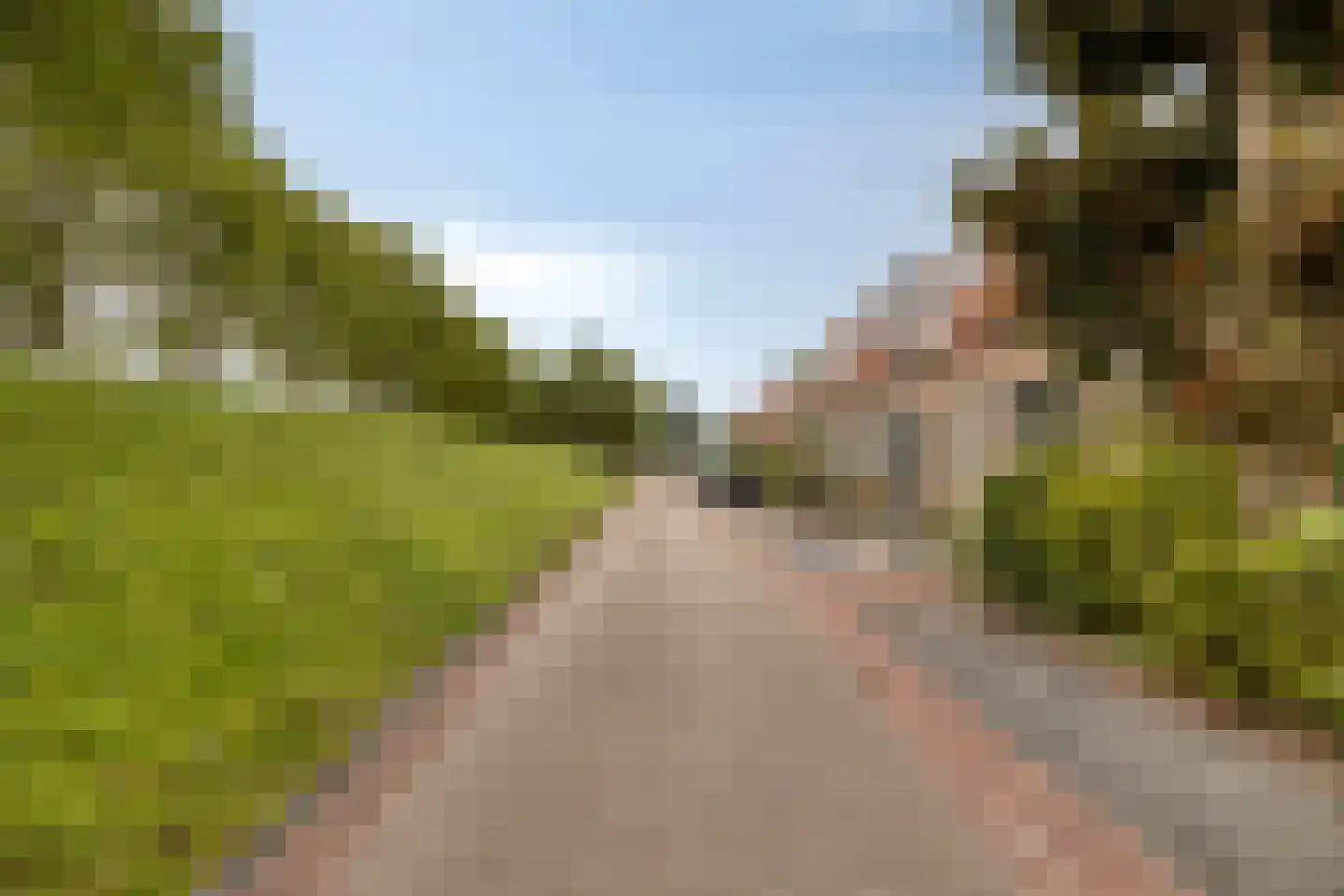 Dijkstraat 81 Kats thumbnail 10