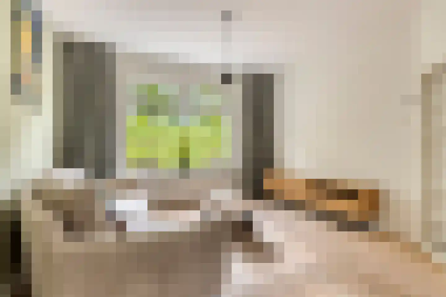 Dijkstraat 81 Kats thumbnail 19